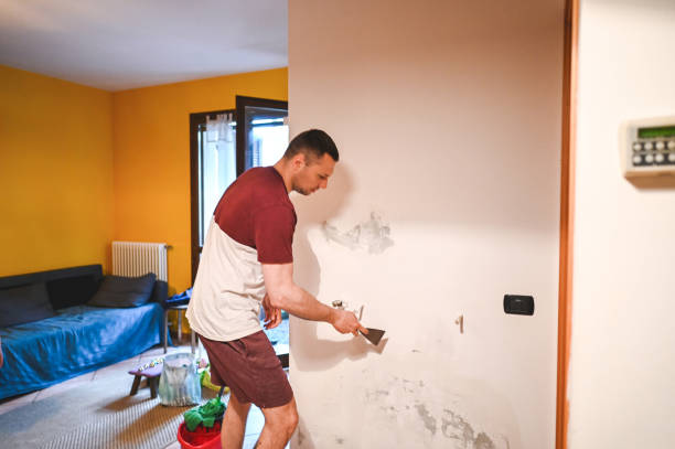 Best Home Mold Removal  in Geneseo, IL